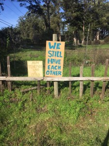 We Still Have Each Other